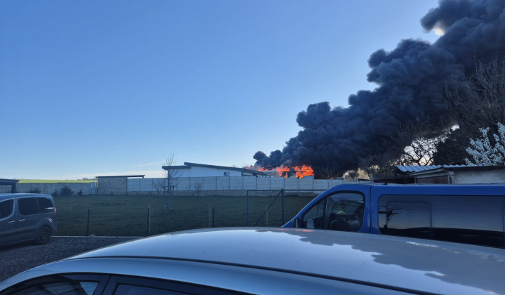 Aktuality / Zbierka  - foto