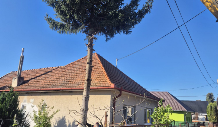 Stavanie mája 2026